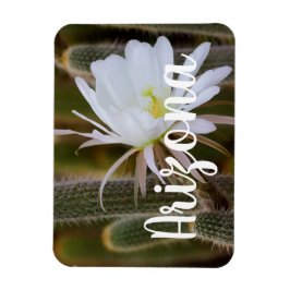 Mai in Arizona Magnet