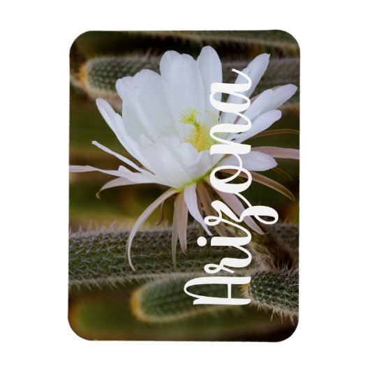 Mai in Arizona Magnet (Vertikal)