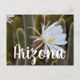 Mai in Arizona Postkarte