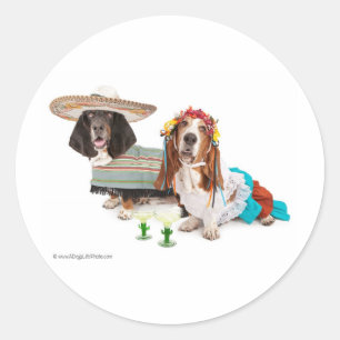 Mai Runder Aufkleber