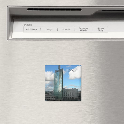 Maia Magnet (In Situ (Geschirrspüler))