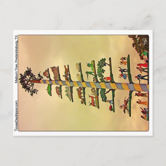 Maibaum Tree, Fredericksburg, TX Postkarte (Vorderseite)