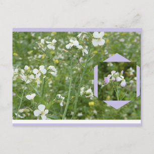 Maiblumen DIY Postkarte