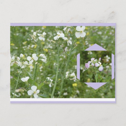 Maiblumen DIY Postkarte (Vorderseite)