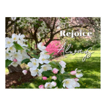 Maiblumen Rosa Freue Dich Immer