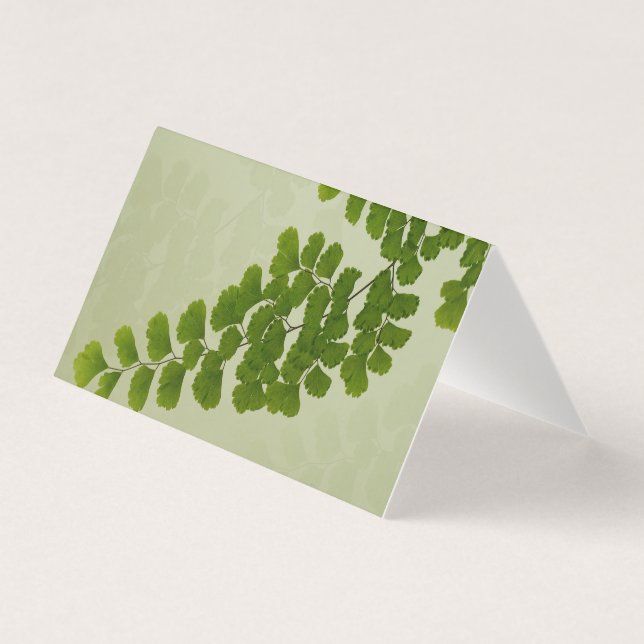 Maiden Hair Fern Frond (Vorderseite)