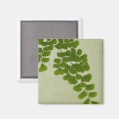 Maiden Hair Fern Frond Magnet (Vorderseite/Rückseite)