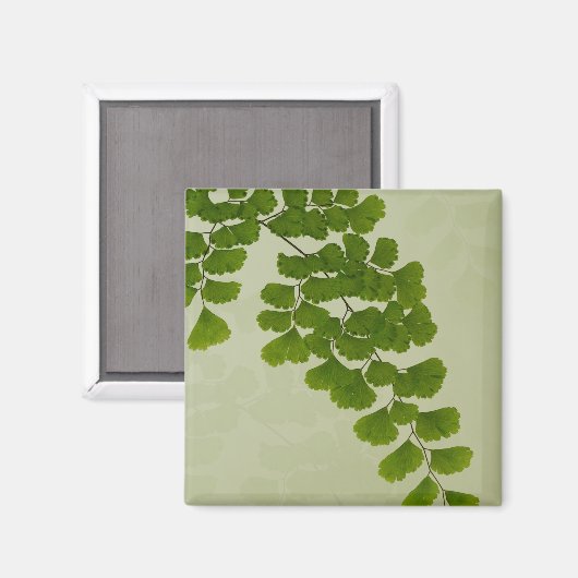 Maiden Hair Fern Frond Magnet (Vorderseite/Rückseite)