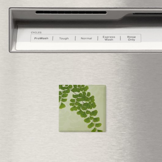 Maiden Hair Fern Frond Magnet (In Situ (Geschirrspüler))