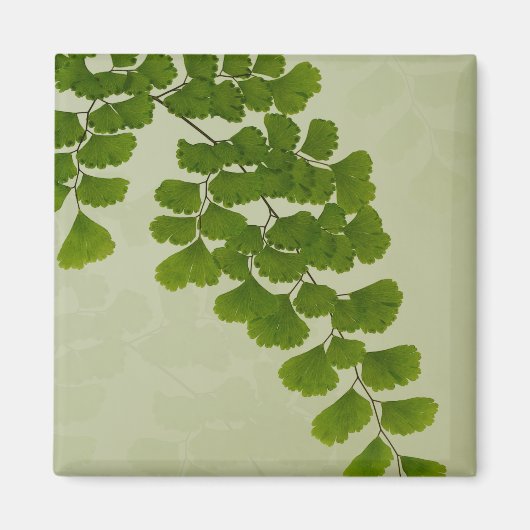 Maiden Hair Fern Frond Magnet (Vorne)