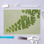 Maiden Hair Fern Frond Seidenpapier (Handwerk)