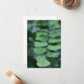 Maidenhaar nach oben nah mitteilungskarte (Vorderseite/Rückseite Beispiel)