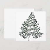 Maidenhair Fern Mitteilungskarte (Vorne/Hinten)