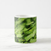 Maiden's Hair Fern Nah-up Kaffeetasse (Mittel)