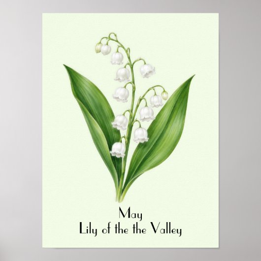 Maiglöckchen-Blumen Poster (Vorne)