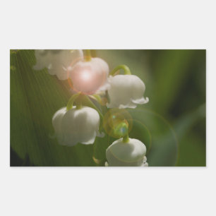 Maiglöckchen-Blüten Rechteckiger Aufkleber