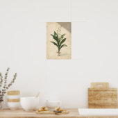 Maiglöckchen-Botanikstudie auf Elfenbein Poster (Küche)