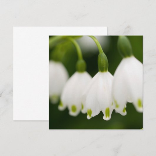 Maiglöckchen-Einladungen Einladung (Vorne/Hinten)