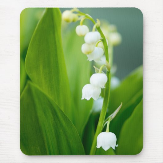 Maiglöckchen Mousepad (Vorne)