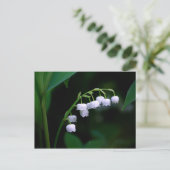 Maiglöckchen-Postkarte Postkarte (Stehend Vorderseite)