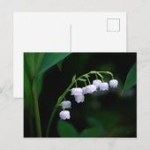 Maiglöckchen-Postkarte Postkarte (Vorne/Hinten)
