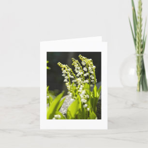 Maiglöckchen von meinem Garten…. Karte