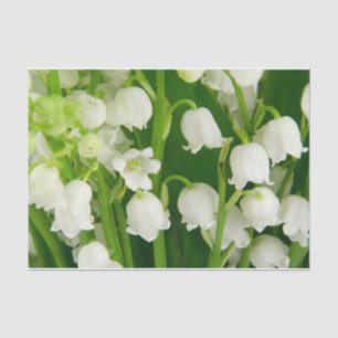 Maiglöckchen Weiße Frühlingsblumen Seidenpapier