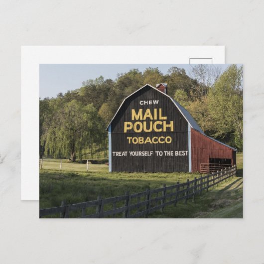 Mail Pouch Tobacco unterschreiben in einer Scheune Postkarte (Vorne/Hinten)