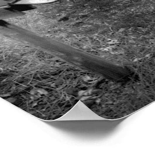 Mailboxcar Poster (Ecke)