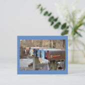 Mailboxen-Foto Postkarte (Stehend Vorderseite)
