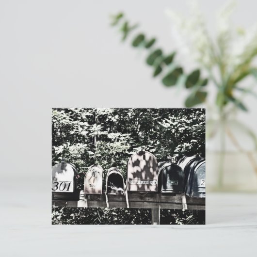 Mailboxes on the Vineyard Postkarte (Stehend Vorderseite)