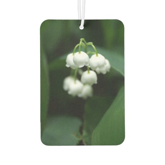 Maililiken Autolufterfrischer (Rückseite)