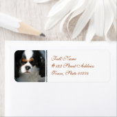 Mailing-Etikett-2 - Benutzerdefiniert (Insitu)