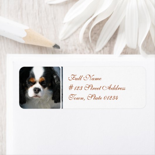 Mailing-Etikett-2 - Benutzerdefiniert (Insitu)