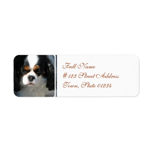 Mailing-Etikett-2 - Benutzerdefiniert (Vorne)