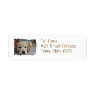 MailingLabel-4 - Besonders angefertigt