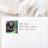 MailingLabel-5 - Benutzerdefiniert (Insitu)