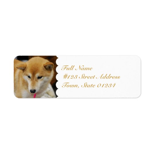 MailingLabel-5 - Benutzerdefiniert (Vorne)