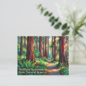 Mailliard Redwoods State Natural Reserve Postkarte (Stehend Vorderseite)