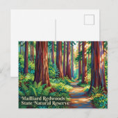 Mailliard Redwoods State Natural Reserve Postkarte (Vorne/Hinten)