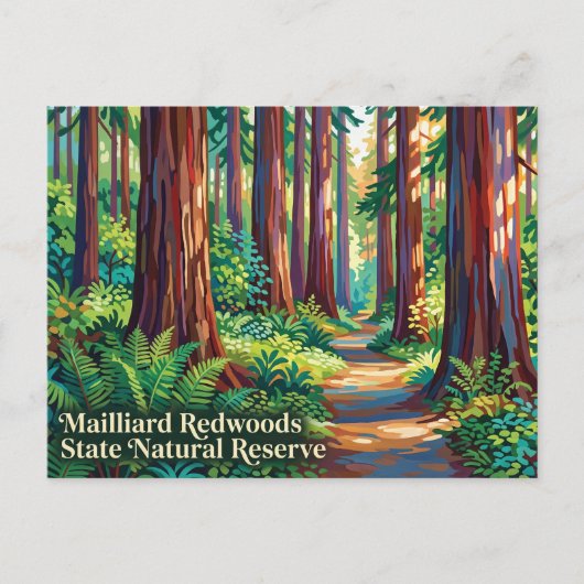 Mailliard Redwoods State Natural Reserve Postkarte (Vorderseite)