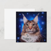 Main Coon Cat Blue Background Stars Einladung (Vorne/Hinten)