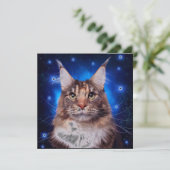 Main Coon Cat Blue Background Stars Einladung (Stehend Vorderseite)