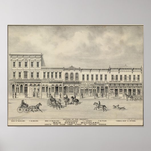 Main St Woodland 2 Poster (Vorne)