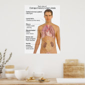 Main Symptoms of Extrapulmonary Tuberculosis Chart Poster (Küche)
