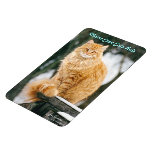 Maincoon cat Flexible Magnet (Linke Seite)
