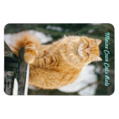 Maincoon cat Flexible Magnet (Horizontal)