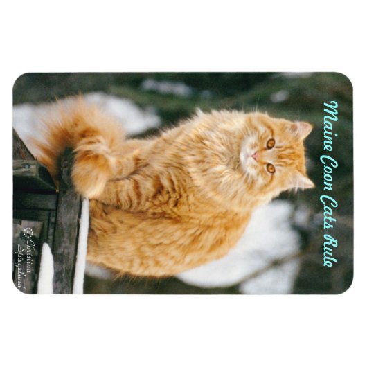 Maincoon cat Flexible Magnet (Horizontal)