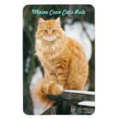 Maincoon cat Flexible Magnet (Vertikal)