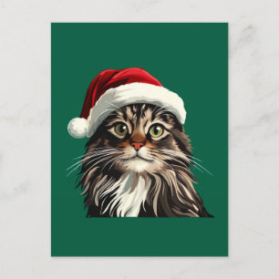 Maincoon, CHRISTMAS, Kätzchen, Kätzchen präsentier Postkarte
